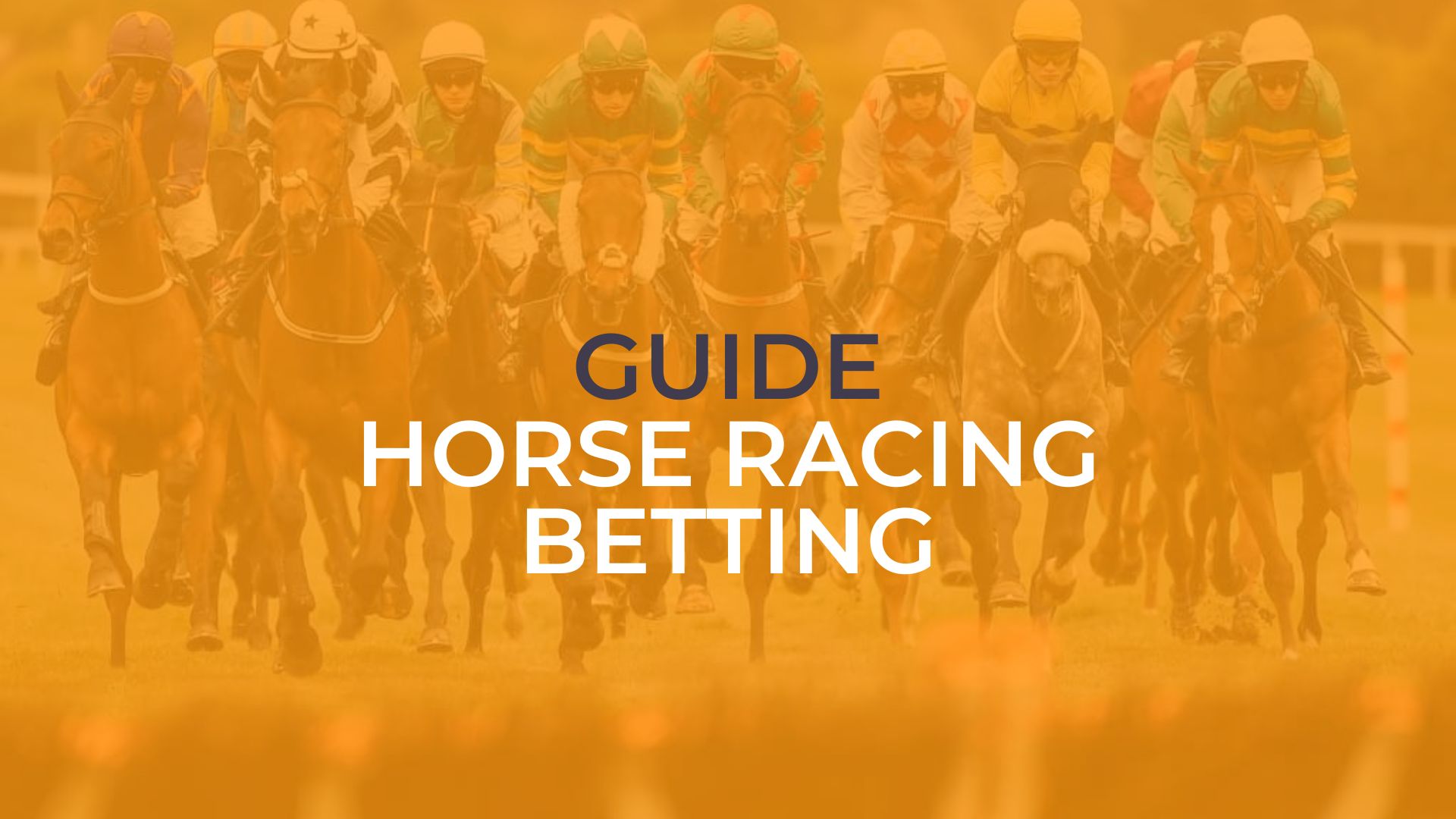 A Beginner's Guide to Horse Racing Betting
