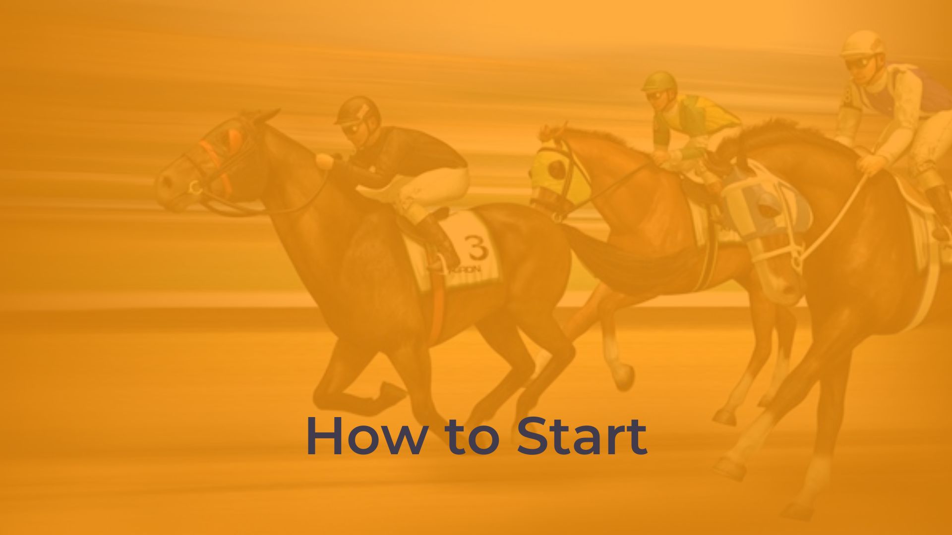 How to Start Betting on Horse Races